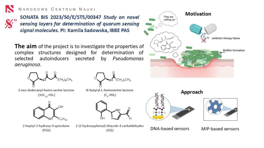 Granty NCN -Sonata Bis